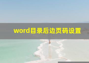 word目录后边页码设置