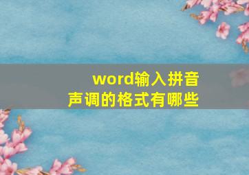 word输入拼音声调的格式有哪些