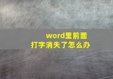 word里前面打字消失了怎么办