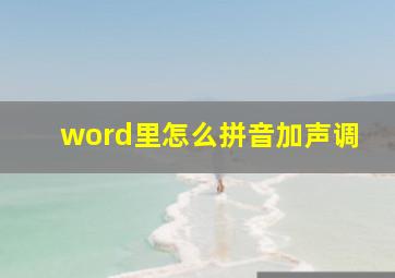 word里怎么拼音加声调