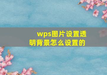 wps图片设置透明背景怎么设置的