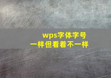 wps字体字号一样但看着不一样