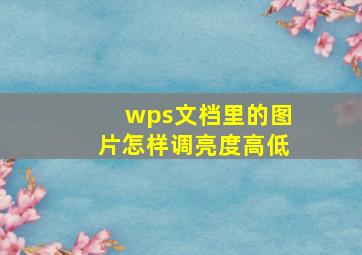 wps文档里的图片怎样调亮度高低