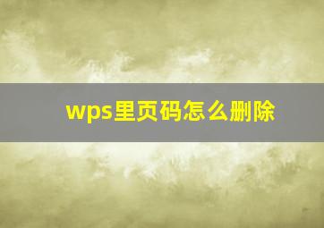 wps里页码怎么删除