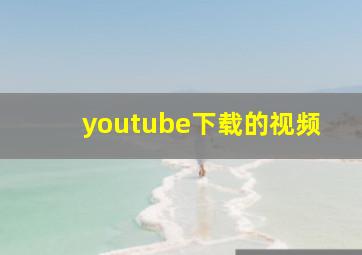 youtube下载的视频