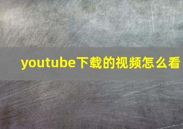 youtube下载的视频怎么看