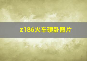 z186火车硬卧图片