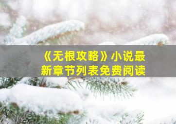 《无根攻略》小说最新章节列表免费阅读