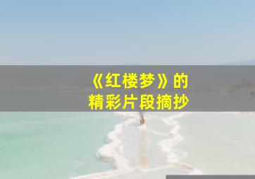 《红楼梦》的精彩片段摘抄