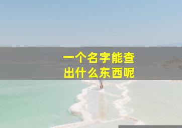 一个名字能查出什么东西呢