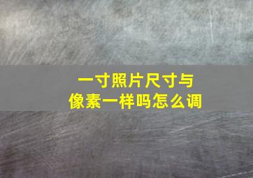 一寸照片尺寸与像素一样吗怎么调