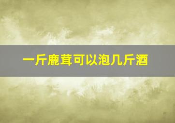 一斤鹿茸可以泡几斤酒