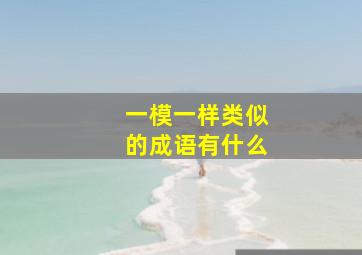 一模一样类似的成语有什么