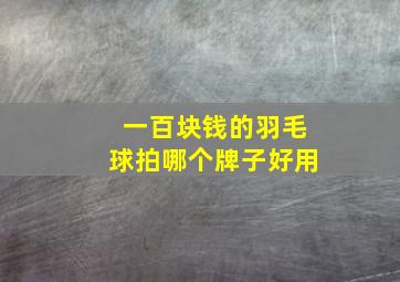 一百块钱的羽毛球拍哪个牌子好用