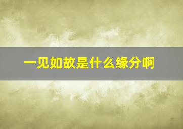 一见如故是什么缘分啊