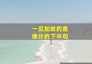 一见如故的是缘分的下半句