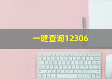 一键查询12306