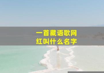 一首藏语歌网红叫什么名字