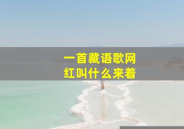 一首藏语歌网红叫什么来着