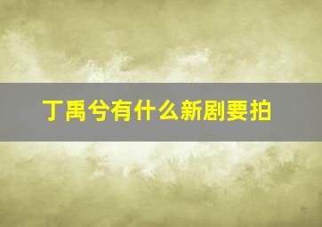 丁禹兮有什么新剧要拍