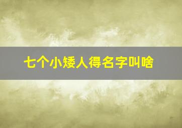 七个小矮人得名字叫啥