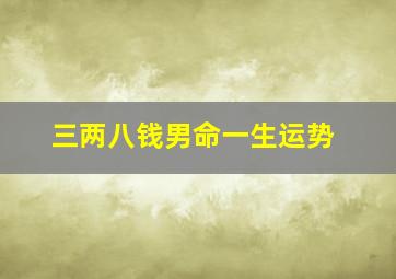 三两八钱男命一生运势