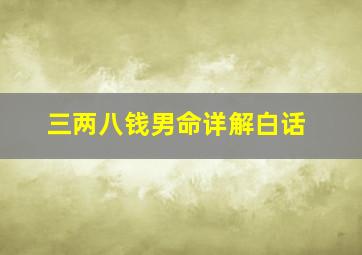 三两八钱男命详解白话