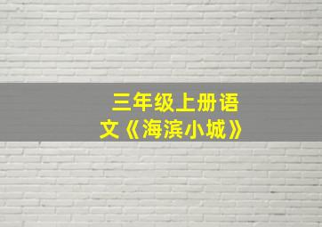 三年级上册语文《海滨小城》