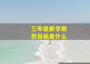 三年级新学期的目标是什么