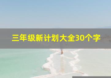 三年级新计划大全30个字