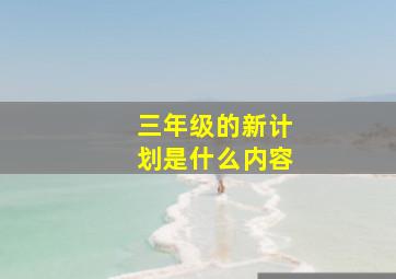 三年级的新计划是什么内容