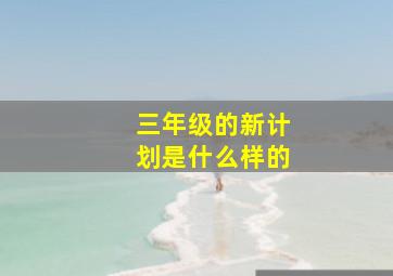 三年级的新计划是什么样的