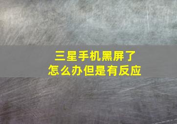 三星手机黑屏了怎么办但是有反应