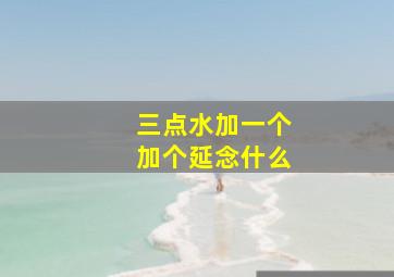 三点水加一个加个延念什么