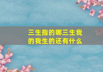 三生指的哪三生我的我生的还有什么