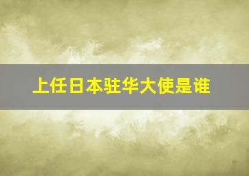 上任日本驻华大使是谁