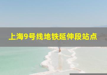 上海9号线地铁延伸段站点