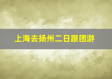 上海去扬州二日跟团游