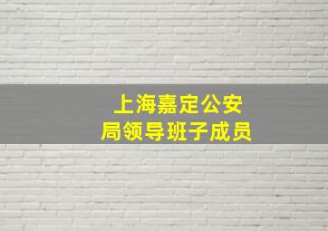 上海嘉定公安局领导班子成员