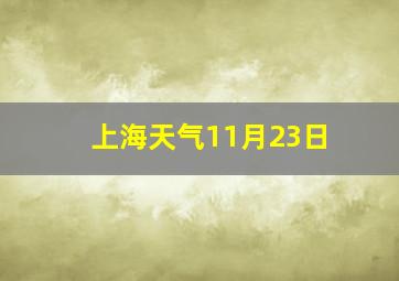 上海天气11月23日