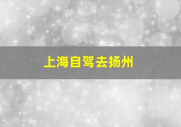 上海自驾去扬州