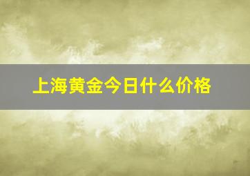 上海黄金今日什么价格