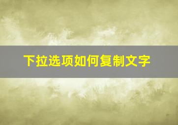 下拉选项如何复制文字