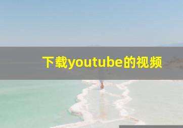 下载youtube的视频