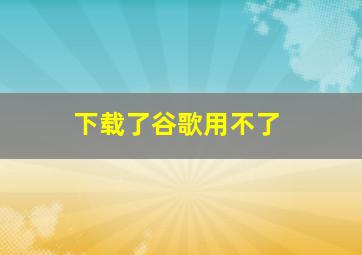 下载了谷歌用不了