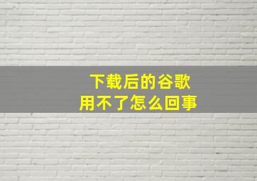 下载后的谷歌用不了怎么回事