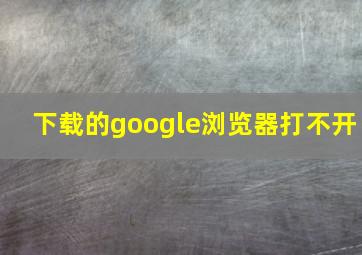 下载的google浏览器打不开