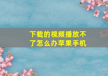 下载的视频播放不了怎么办苹果手机