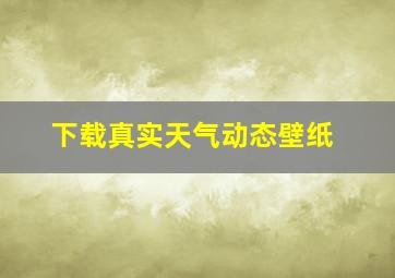 下载真实天气动态壁纸