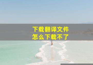 下载翻译文件怎么下载不了